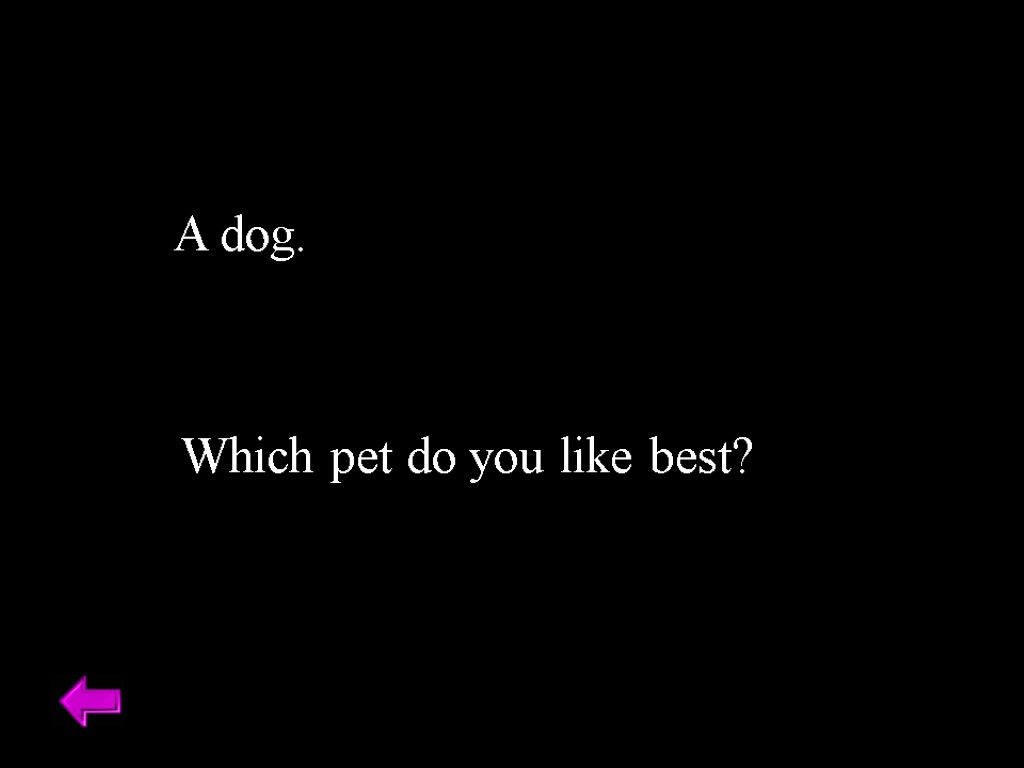 A dog. Which pet do you like best?